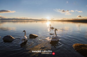 Камера Insta360 Luna Pro Standard Bundle